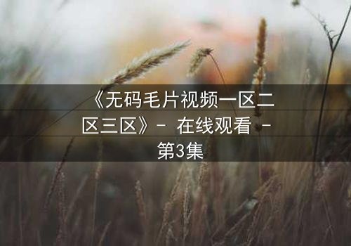 《无码毛片视频一区二区三区》- 在线观看 - 第3集