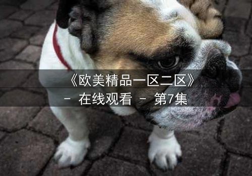 《欧美精品一区二区》- 在线观看 - 第7集