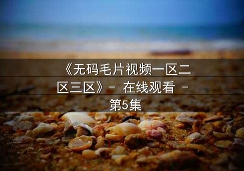 《无码毛片视频一区二区三区》- 在线观看 - 第5集