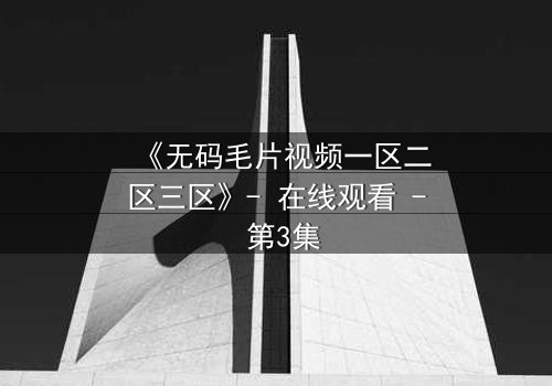 《无码毛片视频一区二区三区》- 在线观看 - 第3集