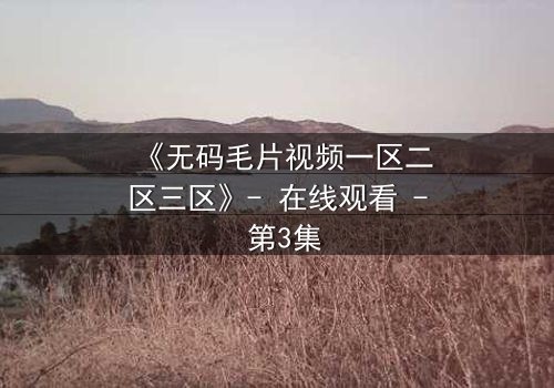 《无码毛片视频一区二区三区》- 在线观看 - 第3集