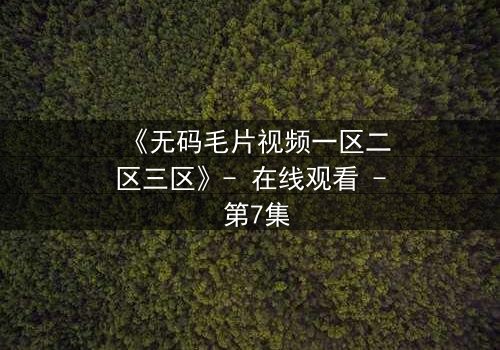 《无码毛片视频一区二区三区》- 在线观看 - 第7集