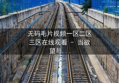 无码毛片视频一区二区三区在线观看 - 当欲望与真相交织,谁将揭开最后的秘密?