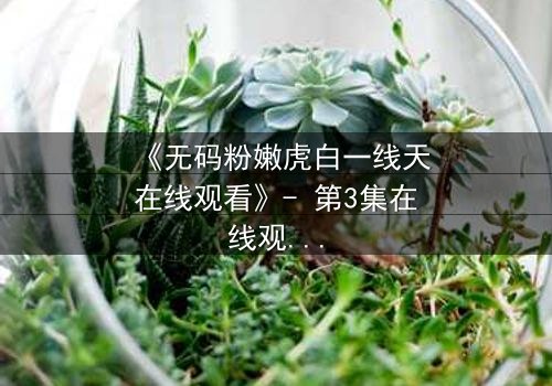 《无码粉嫩虎白一线天在线观看》- 第3集在线观看 - 当禁忌之门悄然开启